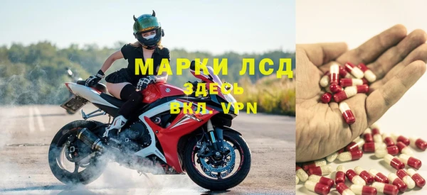 ПСИЛОЦИБИНОВЫЕ ГРИБЫ Балахна