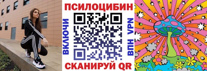 Псилоцибиновые грибы Psilocybine cubensis  нарко площадка клад  Ядрин 